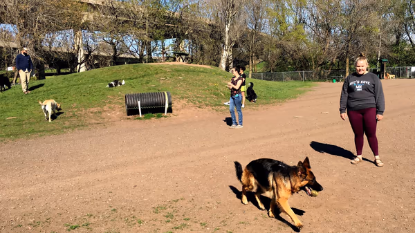 Keene Creek Dog Park photo 2